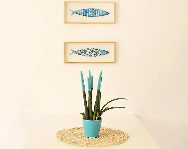 Casa Tarantino Charming *